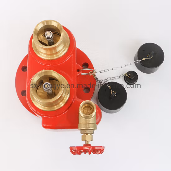 Válvula de fuego siamesa DN100 4