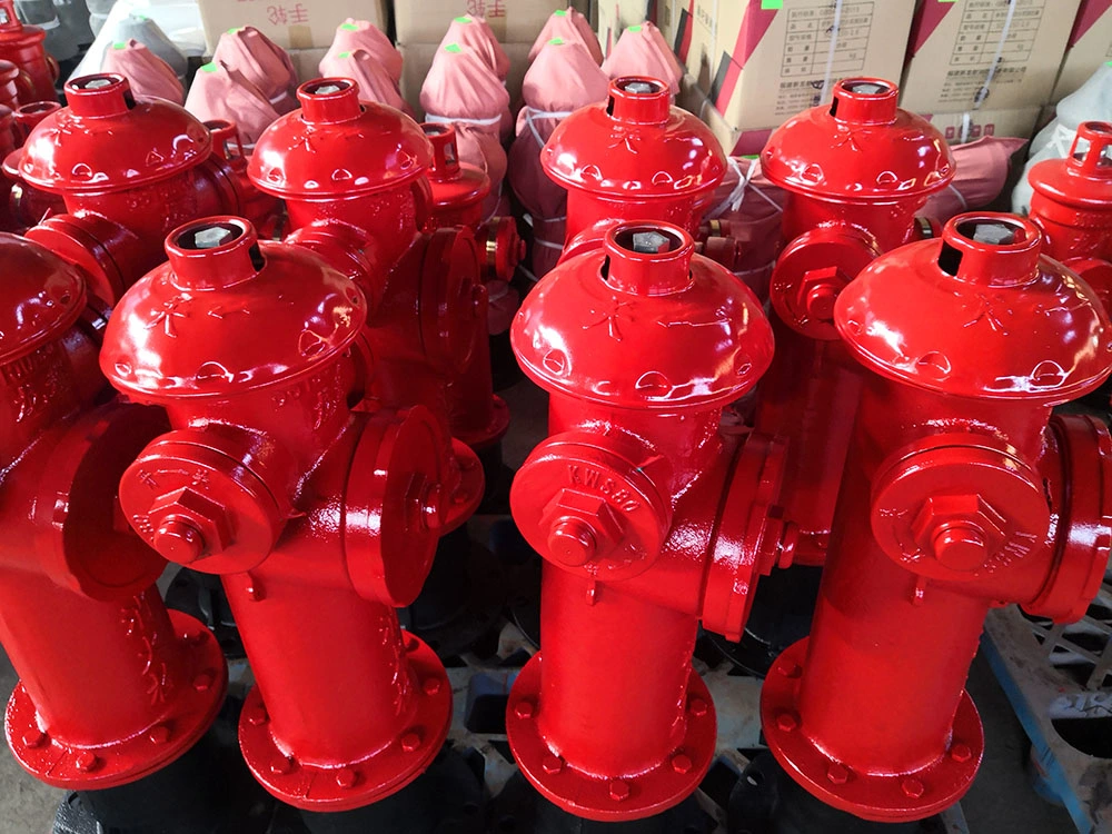 Ductile Cast Iron DN150 Ground Type Outdoor Fire Hydrant Valve Ss150-80-1.6