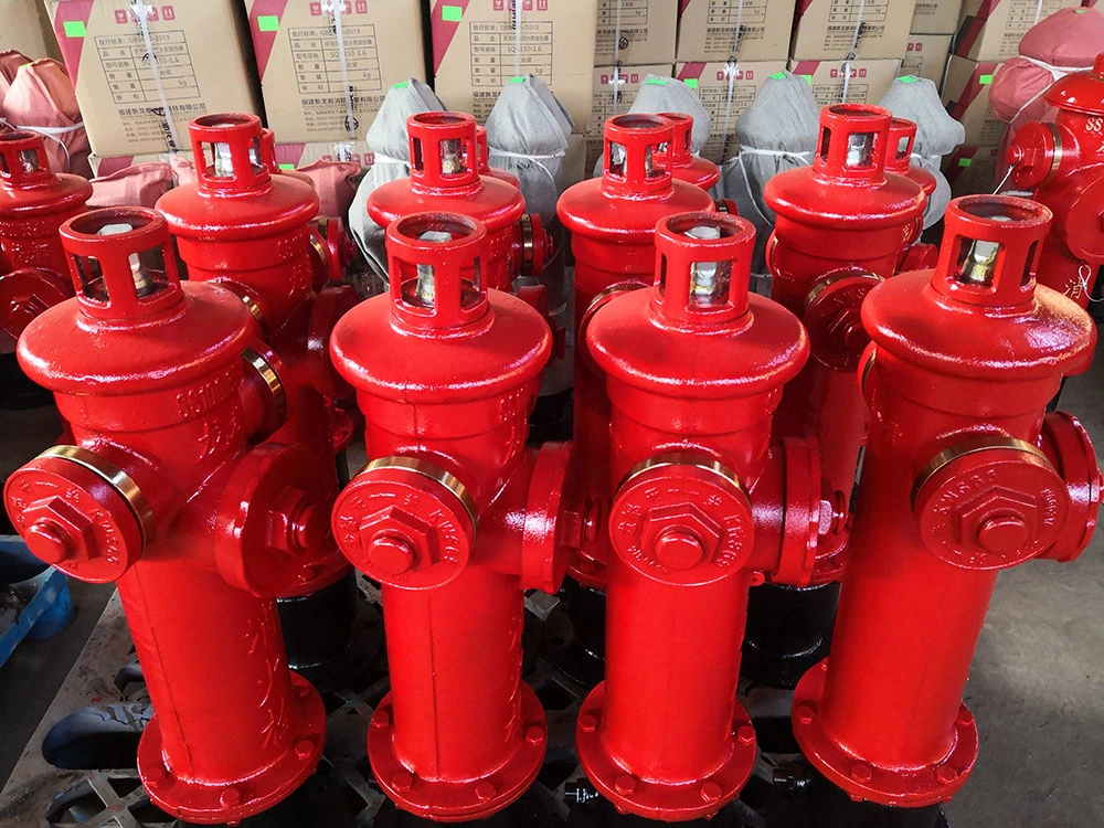 Ductile Cast Iron DN150 Ground Type Outdoor Fire Hydrant Valve Ss150-80-1.6